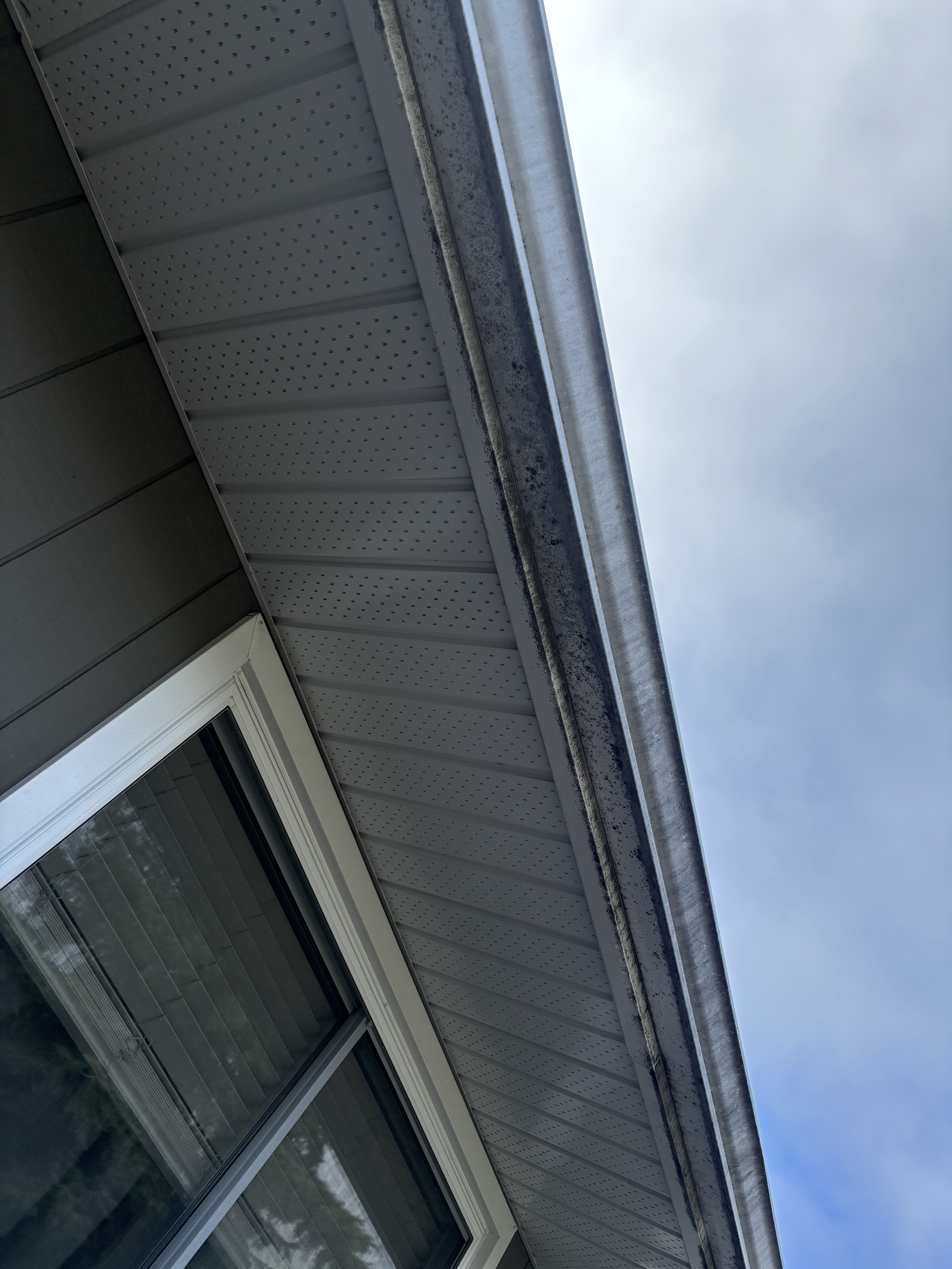 Exterior gutter cleaning before cleaning